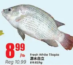 Btrust Supermarket Fresh White Tilapia offer