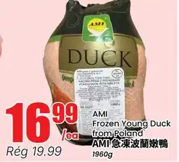Btrust Supermarket AMERICAN POULTRY FROZEN YOUNG DUCK FROM POLAND offer