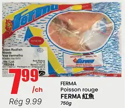 Btrust Supermarket FERMA Poisson rouge offer