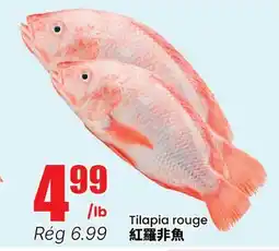 Btrust Supermarket Tilapia rouge offer