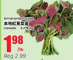 Btrust Supermarket Amarante rouge offer