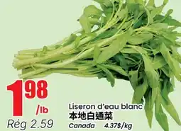 Btrust Supermarket Liseron d'eau blanc offer