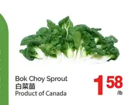 T&T Supermarket BOK CHOY SPROUT offer