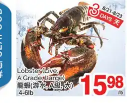 T&T Supermarket LOBSTER, 4-6LB offer