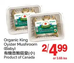 T&T Supermarket ORGANIC KING OYSTER MUSHROOM offer