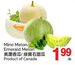 T&T Supermarket EMERALD MELON offer
