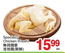 T&T Supermarket SPECIALTY CHICKEN offer