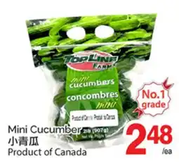 T&T Supermarket MINI CUCUMBER offer