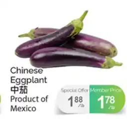 T&T Supermarket CHINESE EGGPLANT offer