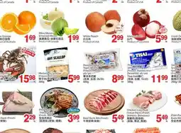 T&T Supermarket BURNBRAE FARMS OMEGA 3 BROWN EGGS, 18s offer