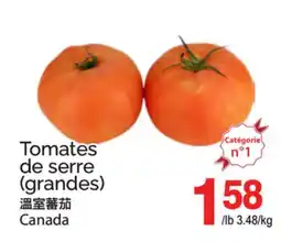 T&T Supermarket Tomates de serre (grandes) offer