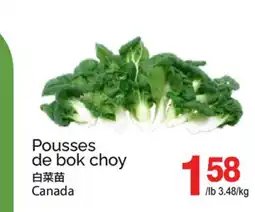 T&T Supermarket Pousses de bok choy offer