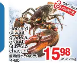 T&T Supermarket Homard (vivant, grade a, grand) (4lb-6lb chacun) offer