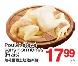 T&T Supermarket Poulet élevé sans hormones offer