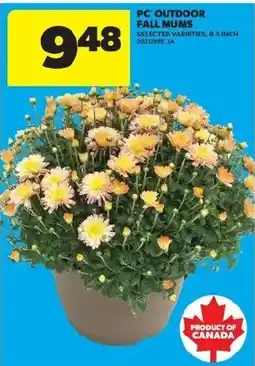 Real Canadian Superstore PC outdoor fall mums offer