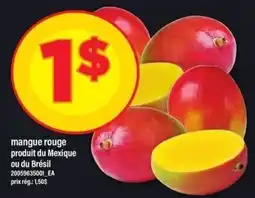 Maxi mangue rouge offer