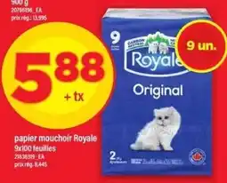 Maxi Royale papier mouchoir offer