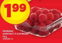 Maxi framboises offer