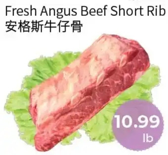 Fresh Angus Beef Short Rib