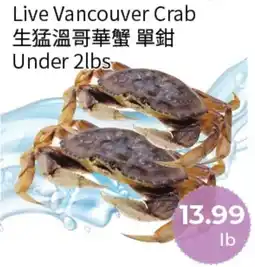 FreshWay Foodmart Live Vancouver Crab offer