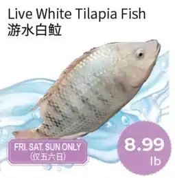 FreshWay Foodmart Live White Tilapia Fish offer