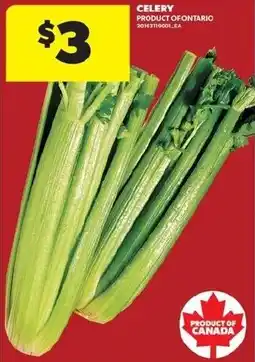 Real Canadian Superstore Celery offer