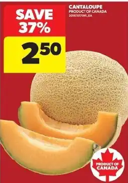 Real Canadian Superstore Cantaloupe offer