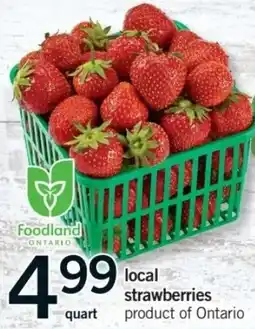 Fortinos local strawberries offer