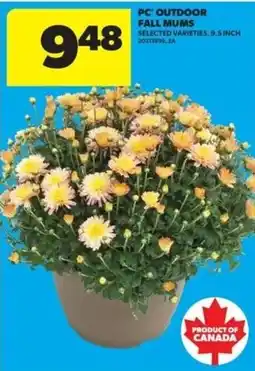 Real Canadian Superstore PC outdoor fall mums offer