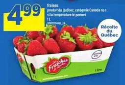 Maxi Les fraiches du Québec offer