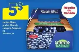 Maxi Raisins Bleus offer