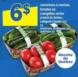Maxi Cornichons à mariner, tomates ou courgettes vertes offer