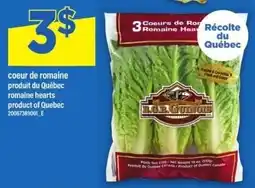 Maxi R.A.P. GUITTOIS coeur de romaine offer