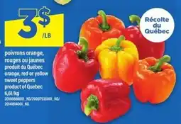 Maxi sweet peppers offer