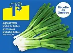 Maxi green onions offer