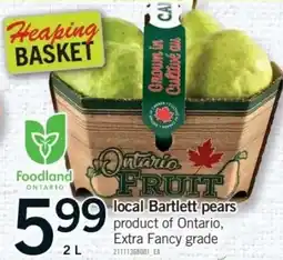 Fortinos Ontario fruit local Bartlett pears offer