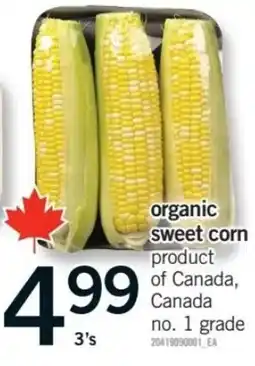 Fortinos organic sweet corn offer