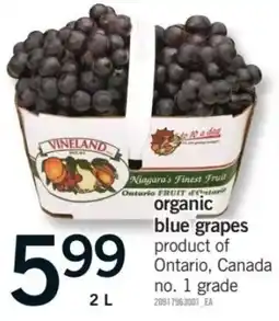 Fortinos vineland organic blue grapes offer