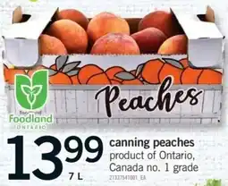 Fortinos Foodland peaches offer