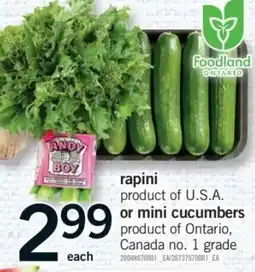 Fortinos andy boy rapini or mini cucumbers offer