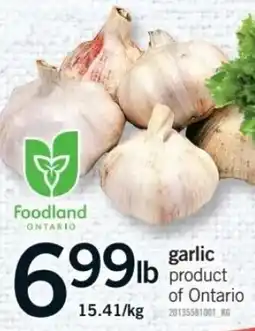 Fortinos Foodland garlic offer