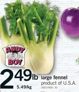 Fortinos andy boy large fennel offer