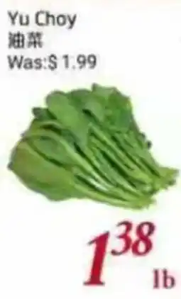 Foody Mart Yu Choy offer