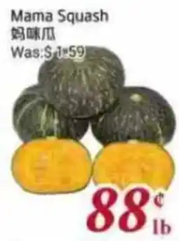 Foody Mart Mama Squash offer
