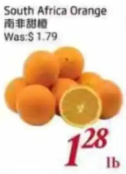 Foody Mart South Africa Orange offer