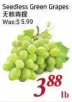 Foody Mart Seedless Green Grapes offer
