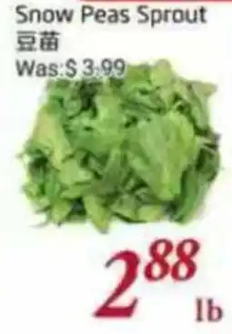 Foody Mart Snow Peas Sprout offer