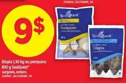 Maxi SeaQuest tilapia or pompano offer