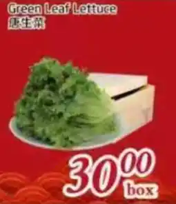 Foody Mart Green Leaf Lettuce offer