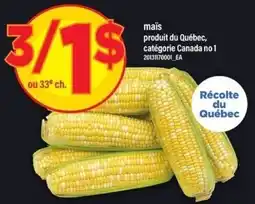 Maxi Corn offer
